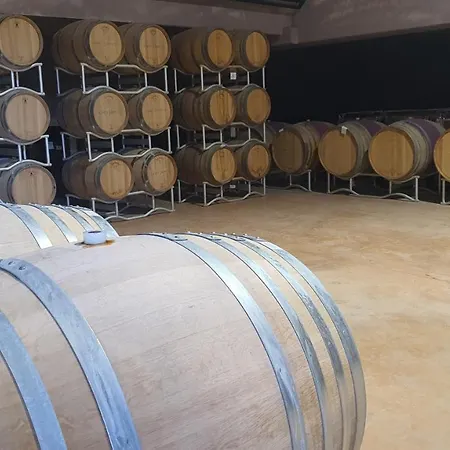 Orizzonti Vigneti Repetto