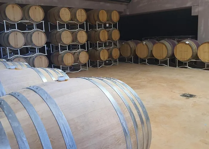 Orizzonti Vigneti Repetto