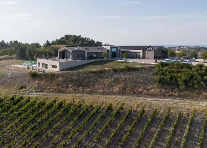 Orizzonti Vigneti Repetto Maison d'hôtes