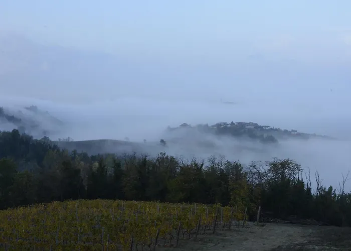 Orizzonti Vigneti Repetto Sarezzano